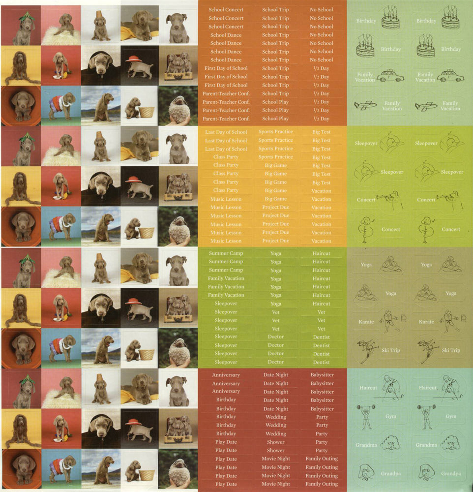 William Wegman 2009 Family Calendar (with Stickers) (clearance) Wall