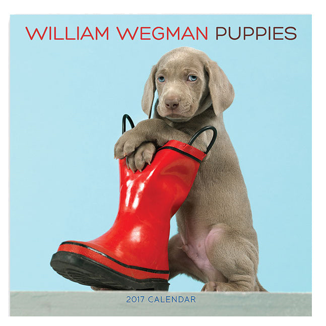 William Wegman Puppies 2017 Wall Calendar ImageExchange