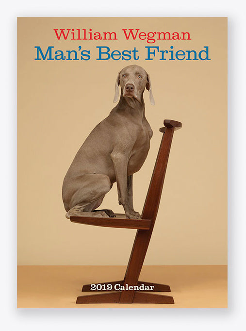 Man's Best Friend 2019 Wall Calendar - ImageExchange