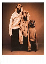 Fashion Trio, 1990 Notecard - ImageExchange