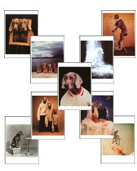 Wegman Mega Set Postcards (Set of 84) - ImageExchange