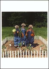 Garden Trio, 1996 Postcards (Set of 12) - ImageExchange