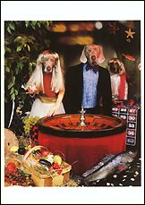 Don't Gamble on Fish or Produce. 1997 Postcards (Set of 12) - ImageExchange