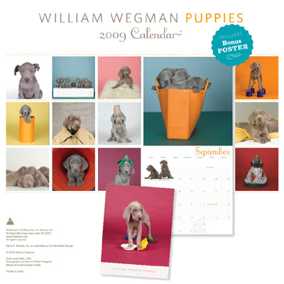 Puppies 2009 (with Poster)  (clearance) Wall Calendar - ImageExchange