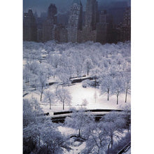 White Trees Photograph - ImageExchange