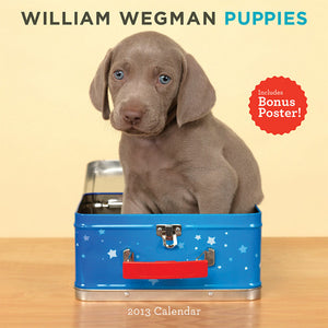 Puppies 2013 (with Poster) Wall Calendar - ImageExchange
