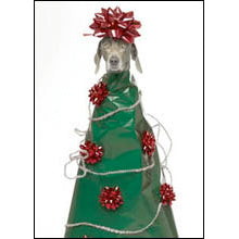 Dog Tree Holiday Notecards (Set of 10)