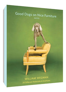 Good Dogs on Nice Furniture Notecards - ImageExchange