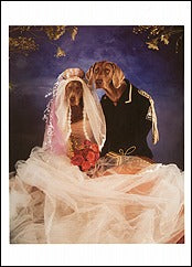 Happily Ever After, 1992 Notecard - ImageExchange