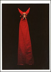 William Wegman Devil Dog, 1990 Notecard – ImageExchange