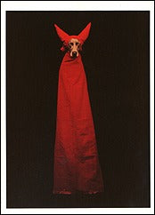 Devil Dog, 1990 Notecard - ImageExchange