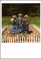 Garden Trio, 1996 Notecard - ImageExchange