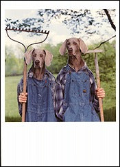 Farm Days, 1996 Notecard - ImageExchange