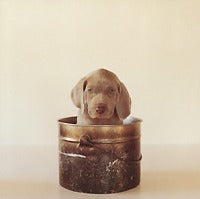 Pup Pot, 1993 Notecard - ImageExchange