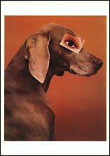 Eyewear, 1994 Postcards (Set of 12) - ImageExchange