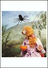 Little Miss Muffet, 1996 Postcards (Set of 12) - ImageExchange