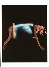 Fay Ray X-Ray, 1993 Postcards (Set of 12) - ImageExchange
