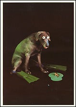 Frog II, 1982 Postcards (Set of 12) - ImageExchange