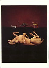 Evolutionary, 1987 Postcards (Set of 12) - ImageExchange