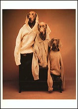 Fashion Trio, 1990 Postcards (Set of 12) - ImageExchange