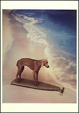 Surfboard, 1991 Postcards (Set of 12) - ImageExchange