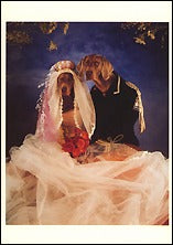 Happily Ever After, 1992 Postcards (Set of 12) - ImageExchange