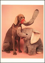Elephants, 1993 Postcards (Set of 12) - ImageExchange